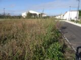 Terrain à bâtir à Grisolles (82170) 2475010-5604annonce120260402W46KL.jpeg Maisons France Confort