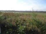 Terrain à bâtir à Grisolles (82170) 2475010-5604annonce220260402c1CNg.jpeg Maisons France Confort