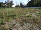 Terrain à bâtir à Grisolles (82170) 2475010-5604annonce420260402tT1Cb.jpeg Maisons France Confort