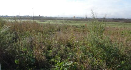Grisolles Maison neuve - 2475017-5604annonce220260402c1CNg.jpeg Maisons France Confort