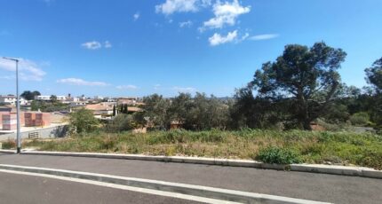 Narbonne Terrain à bâtir - 2475981-11782annonce22026040376LnP.jpeg Maisons France Confort