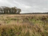 Terrain à bâtir à Pontarmé (60520) 2476697-4496annonce220251204mbr1D.jpeg Maisons France Confort