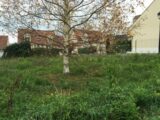 Maison neuve à Saint-Germain-en-Laye (78100) 2476565-3611annonce120260404R5hHg.jpeg Maisons France Confort