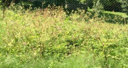 Fresnes-sur-Marne Maison neuve - 2419812-10626annonce220260205iuoGr.jpeg Maisons France Confort