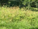 Maison à construire à Coulommiers (77120) 2445179-10626annonce2202603028A4Ai.jpeg Maisons France Confort