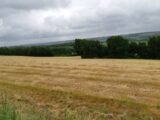 Terrain à bâtir à Montjoire (31380) 2479511-5604annonce320260408MNuof.jpeg Maisons France Confort