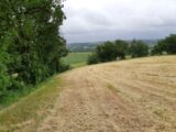 Terrain à bâtir à Montjoire (31380) 2479511-5604annonce420260408vzM58.jpeg Maisons France Confort