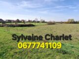 Terrain à bâtir à Hantay (59496) 2451385-5754annonce1202603096nO1k.jpeg Maisons France Confort