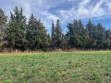 Terrain à bâtir à Fontvieille (13990) 2418929-11073annonce420260205TrKlD.jpeg Maisons France Confort