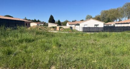 Rabastens Maison neuve - 2481872-11846annonce120260410hH4ZL.jpeg Maisons France Confort