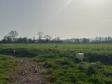 Terrain à bâtir à Isigny-sur-Mer (14230) 2484894-11660annonce120260414CqQHU.jpeg Maisons France Confort