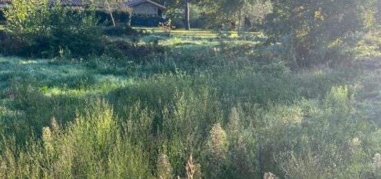 Terrain à bâtir à Castelnau-de-Médoc, Nouvelle-Aquitaine