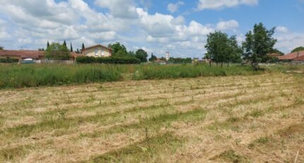 Bérat Maison neuve - 2487590-10326annonce120260416qXrym.jpeg Maisons France Confort