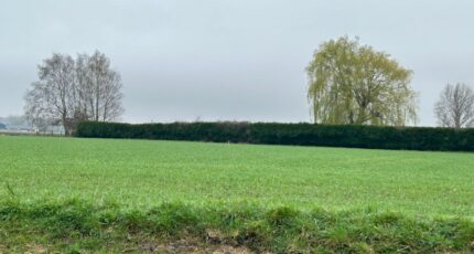 Gonnehem Maison neuve - 2431464-5804annonce120260217RauHB.jpeg Maisons France Confort