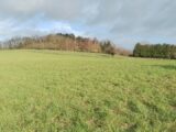 Maison à construire à Chamant (60300) 2491189-11662annonce120260421su4lI.jpeg Maisons France Confort