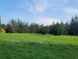 Terrain à bâtir à Allan (26780) 2431363-812annonce2202411067cC3c.jpeg Maisons France Confort