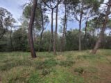 Terrain à bâtir à Suze-la-Rousse (26790) 2464538-812annonce220250618vWtun.jpeg Maisons France Confort