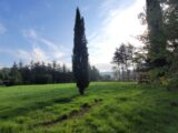 Terrain à bâtir à Allan (26780) 2464590-812annonce120241106WZmAr.jpeg Maisons France Confort