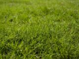 Maison à construire à Menneval (27300) 2471607-11227annonce120251028ebPs9.jpeg Maisons France Confort