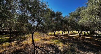 Puget-sur-Argens Terrain à bâtir - 2442469-11157annonce420260227mg1ds.jpeg Maisons France Confort
