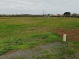 Terrain à bâtir à Angles (85750) 2495968-10920annonce120260428e22bu.jpeg Maisons France Confort