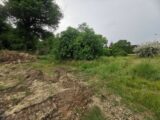 Maison à construire à Roaillan (33210) 2496755-9573annonce120260429uJBfN.jpeg Maisons France Confort