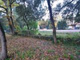 Terrain à bâtir à Garéoult (83136) 2498872-11137annonce42025121113T32.jpeg Maisons France Confort