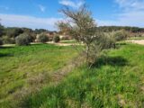 Terrain à bâtir à Barjols (83670) 2498879-11137annonce320250407B1HLL.jpeg Maisons France Confort