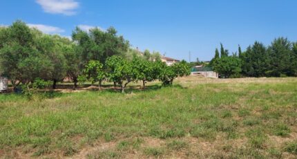 Puget-sur-Argens Terrain à bâtir - 2498887-11137annonce320250730PzNJF.jpeg Maisons France Confort