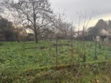 Maison à construire à Villemur-sur-Tarn (31340) 2472629-11356annonce120260331kucon.jpeg Maisons France Confort