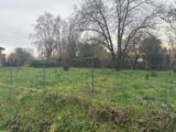 Maison à construire à Villemur-sur-Tarn (31340) 2472611-11356annonce220260331KRPd8.jpeg Maisons France Confort