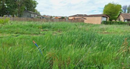 Montbartier Terrain à bâtir - 2412630-9555annonce120260130s8oz6.jpeg Maisons France Confort