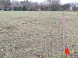 Terrain à bâtir à Clermont-Savès (32600) 2412654-9555annonce120260130K2hIX.jpeg Maisons France Confort