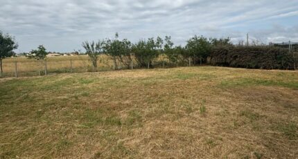 Plaisance-du-Touch Maison neuve - 2412732-9555annonce120260130GKyll.jpeg Maisons France Confort