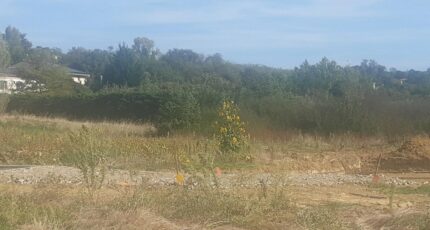 Pechbonnieu Maison neuve - 2498557-5202annonce4202604308vZqN.jpeg Maisons France Confort