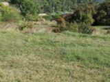 Maison à construire à Ruvigny (10410) 2447812-4032annonce120260304lG24k.jpeg Maisons France Confort