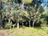 Terrain à bâtir à Ollioules (83190) 2499677-9707annonce220260504BZlIk.jpeg Maisons France Confort
