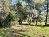 Terrain à bâtir à Ollioules (83190) 2499677-9707annonce420260504JhGmp.jpeg Maisons France Confort