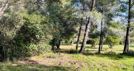 Ollioules Terrain à bâtir - 2499677-9707annonce420260504JhGmp.jpeg Maisons France Confort