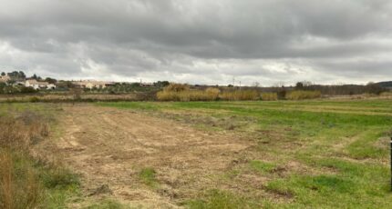 Puisserguier Terrain à bâtir - 2411481-11018annonce220251002GugXN.jpeg Maisons France Confort