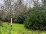 Terrain à bâtir à Arsac (33460) 2404769-11016annonce120260123Qx2yL.jpeg Maisons France Confort