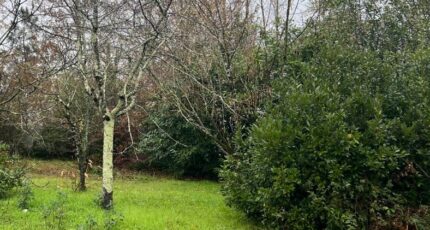 Arsac Maison neuve - 2404772-11016annonce120260123Qx2yL.jpeg Maisons France Confort