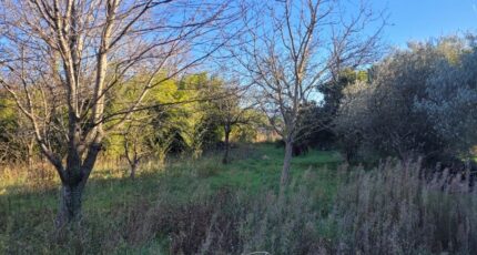 Cruas Terrain à bâtir - 2499982-812annonce320251229xWzTn.jpeg Maisons France Confort