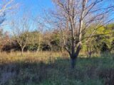 Terrain à bâtir à Cruas (07350) 2499985-812annonce320251229T3tys.jpeg Maisons France Confort