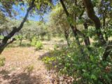 Terrain à bâtir à Bourg-Saint-Andéol (07700) 2499995-812annonce120251230gOpm5.jpeg Maisons France Confort