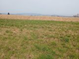 Terrain à bâtir à Roiffieux (07100) 2499784-11248annonce1202605041KB6f.jpeg Maisons France Confort