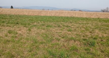 Roiffieux Terrain à bâtir - 2499784-11248annonce1202605041KB6f.jpeg Maisons France Confort