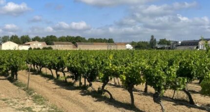 Canet Maison neuve - 2475071-11782annonce120260402ZOJmE.jpeg Maisons France Confort