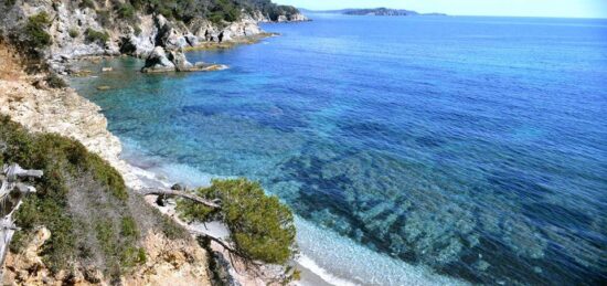 Terrain à bâtir à Hyères, Provence-Alpes-Côte d'Azur