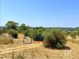 Terrain à bâtir à Tavernes (83670) 2412665-3951annonce120260130oSU35.jpeg Maisons France Confort
